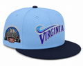 Virginia Cool Breeze Waves